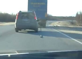 Водитель оторвал заправочный пистолет (мат)