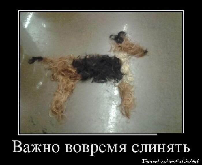 Смешной демотиватор от zubrilov за 06.07.2012 №119521