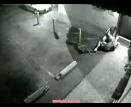 Отец с сыном поссорились