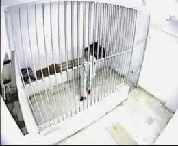 Поджог себя