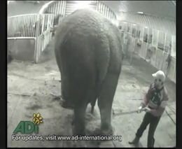 Садист какой-то