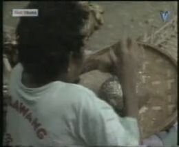 Такой попы вы еще не видели