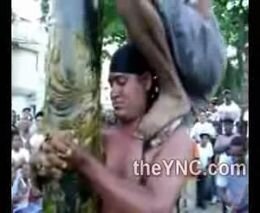 Падение с высоты