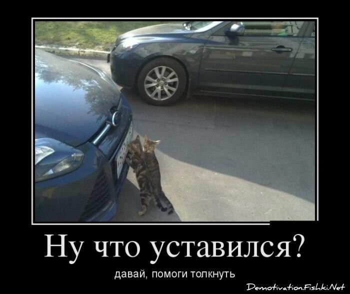 Демотиватор
