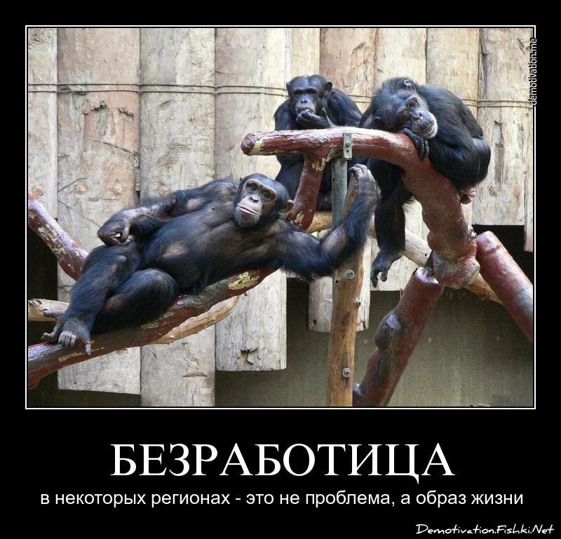 Смешной демотиватор от zubrilov за 09.07.2012 №119785