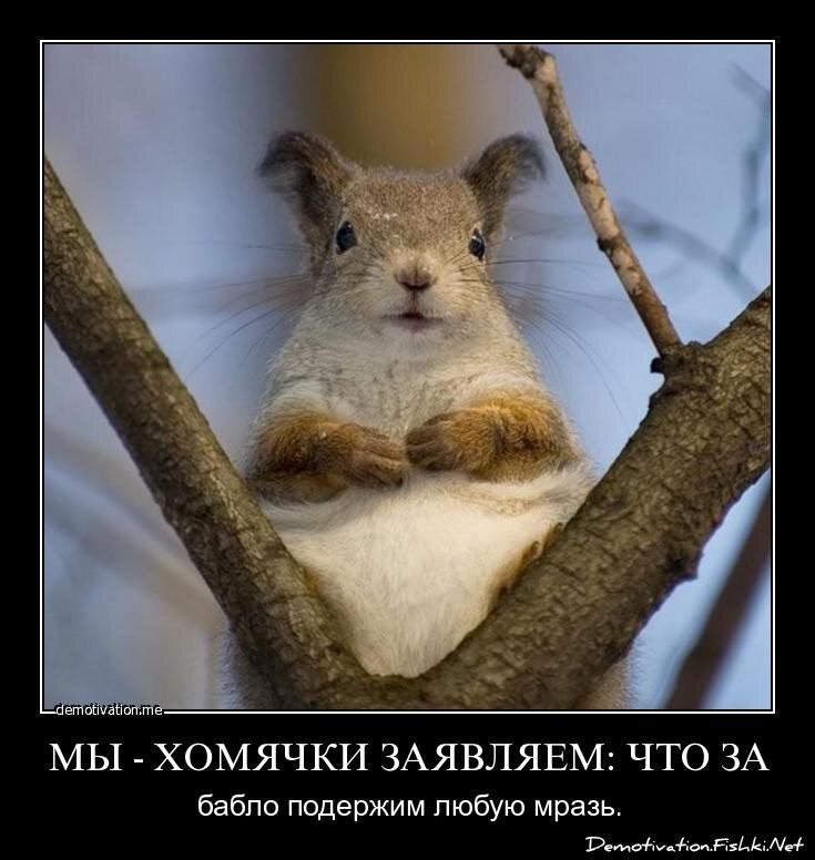 Смешной демотиватор от zubrilov за 09.07.2012 №119791