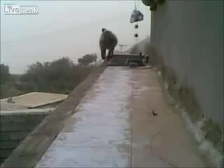 Отпугиватель бабуинов