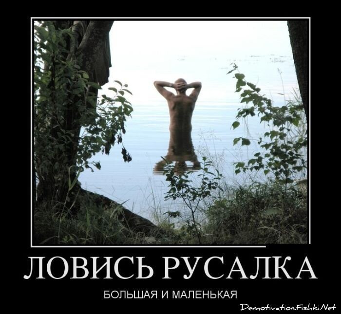 Смешной демотиватор от zubrilov за 11.07.2012 №120080
