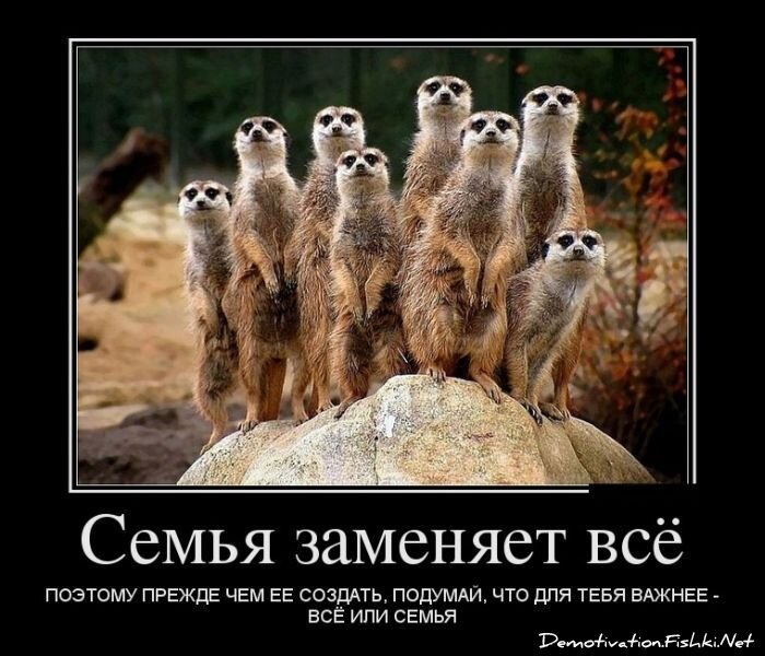 Смешной демотиватор от zubrilov за 11.07.2012 №120083