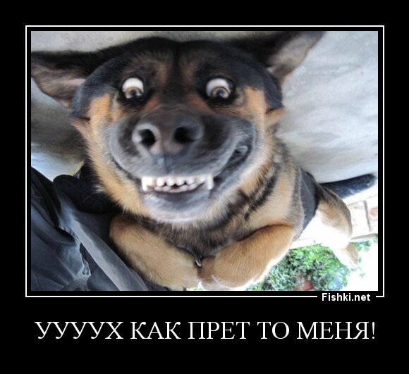 Уууух как прет то меня!