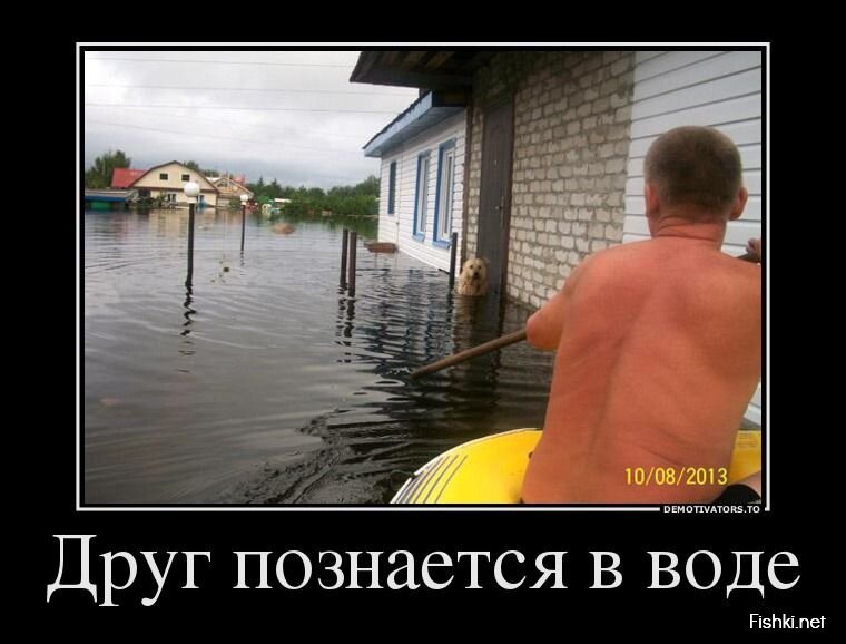 Смешной демотиватор от zubrilov за 23.08.2013 №1201733