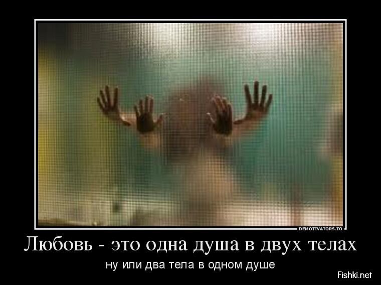 Смешной демотиватор от zubrilov за 23.08.2013 №1201740