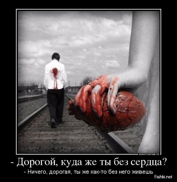 Смешной демотиватор от zubrilov за 26.08.2013 №1201938