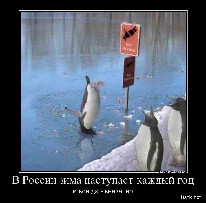 Смешной демотиватор от zubrilov за 26.08.2013 №1201950