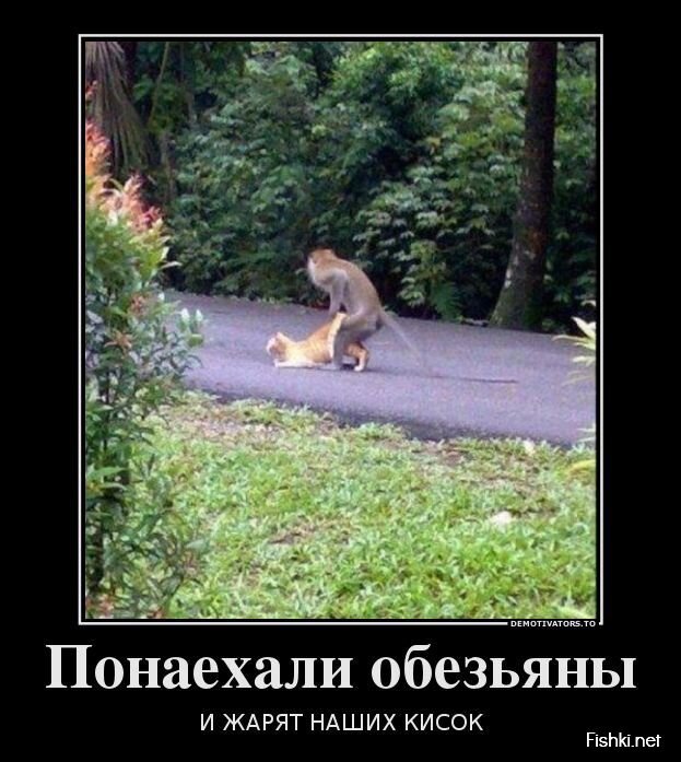 Смешной демотиватор от zubrilov за 26.08.2013 №1201971
