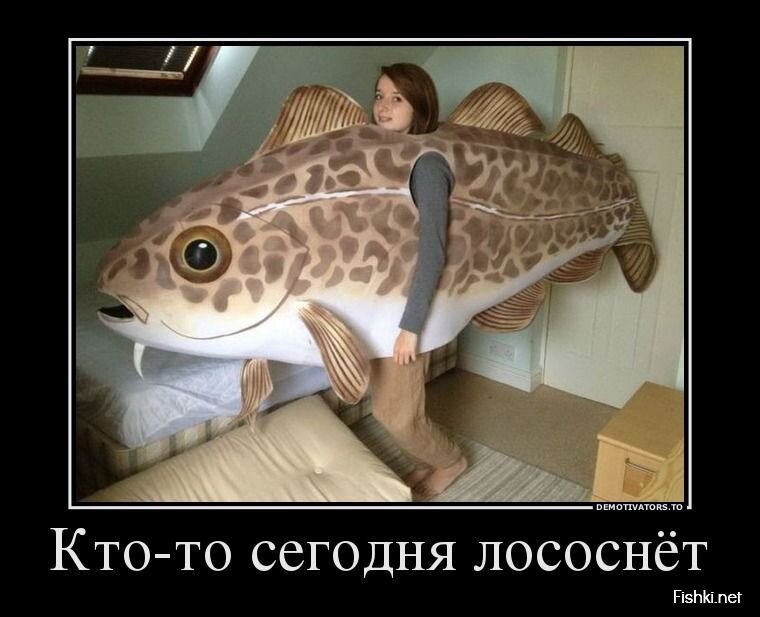 Смешной демотиватор от zubrilov за 26.08.2013 №1201974