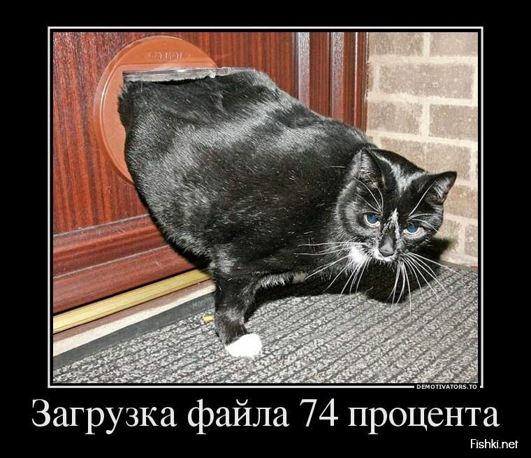 Демотиваторы, часть 419.