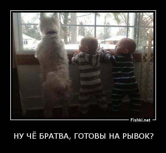 Ну чё братва, готовы на рывок?