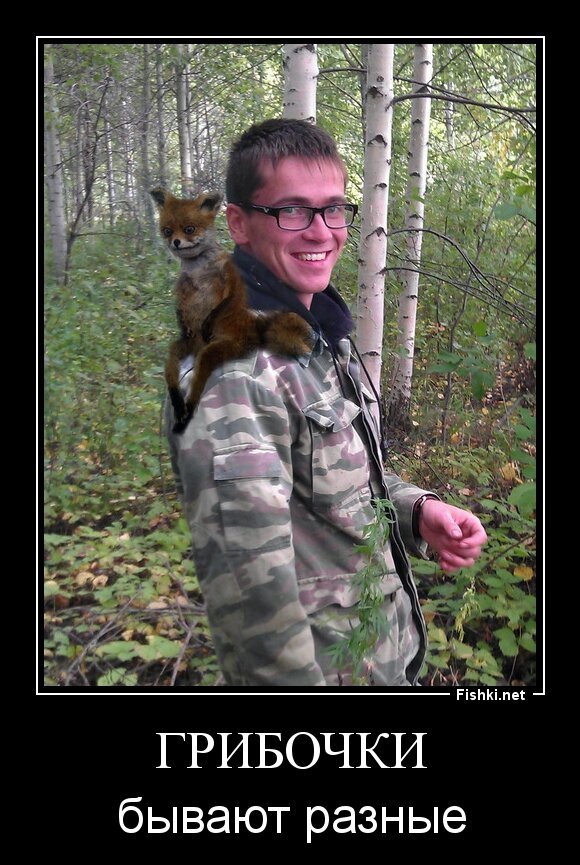Грибочки