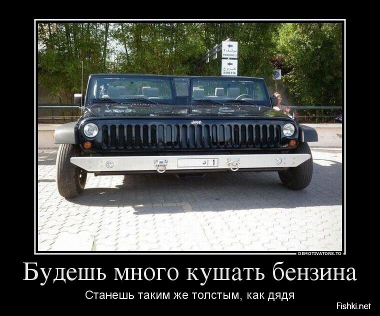 Смешной демотиватор от zubrilov за 28.08.2013 №1202268