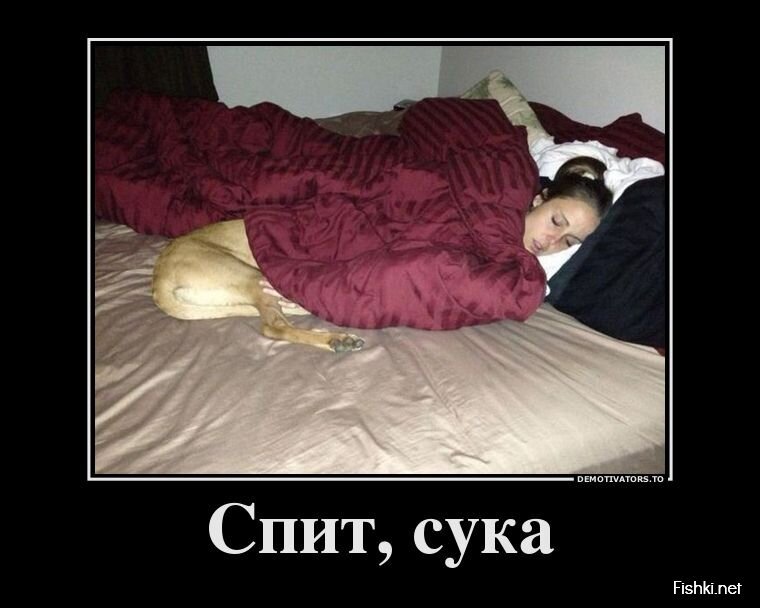 Демотиваторы, часть 420.
