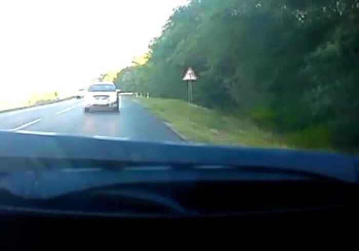 Видео дня