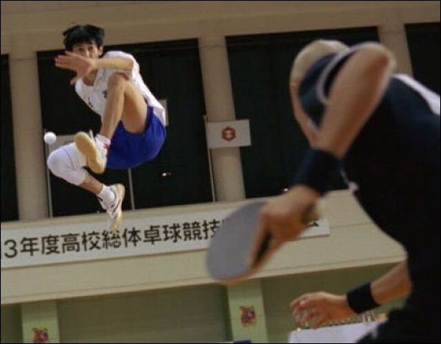 Бесплатный фотоприкол