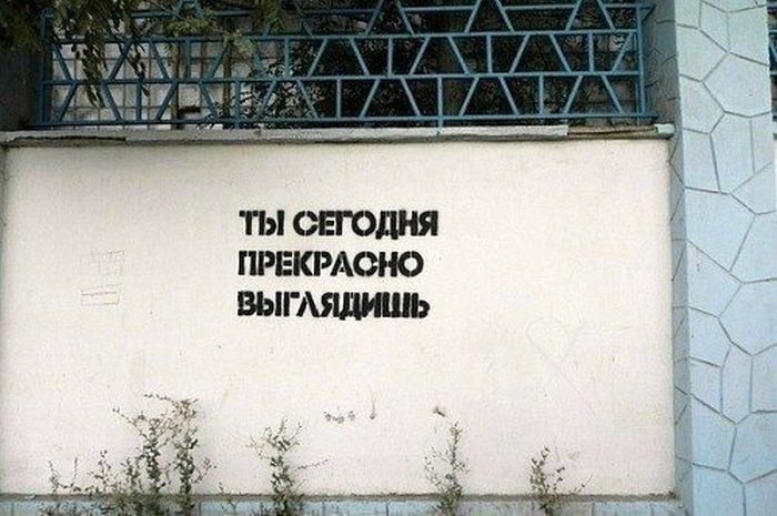 Смешная фотогалерея