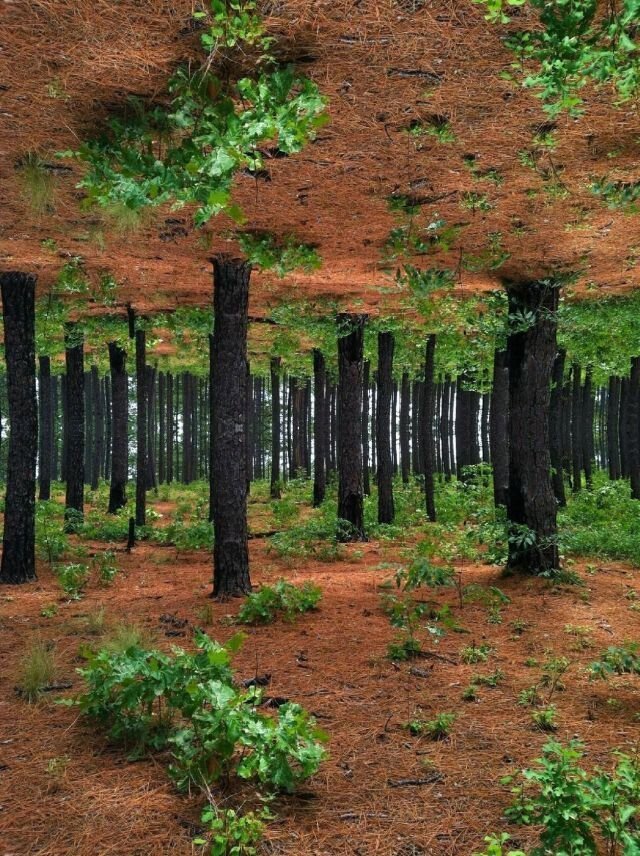 Свежий фотоприкол
