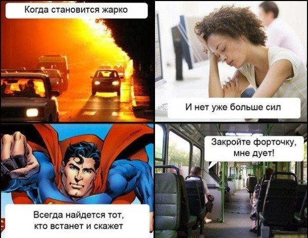 Смешная фотогалерея