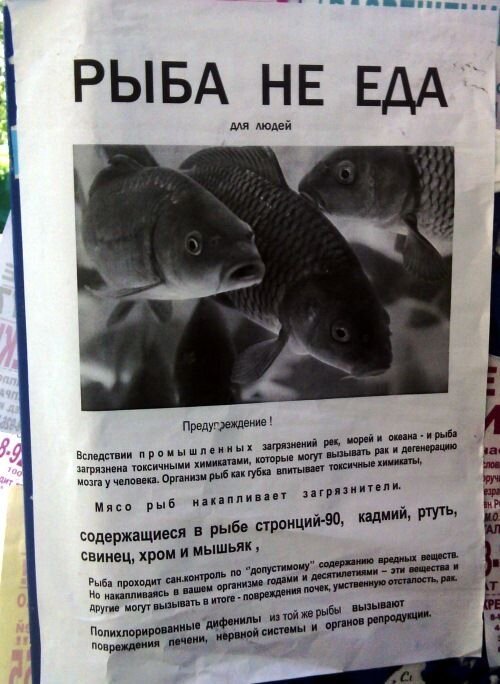 Отпадные фотки