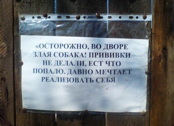 Прикол картинка
