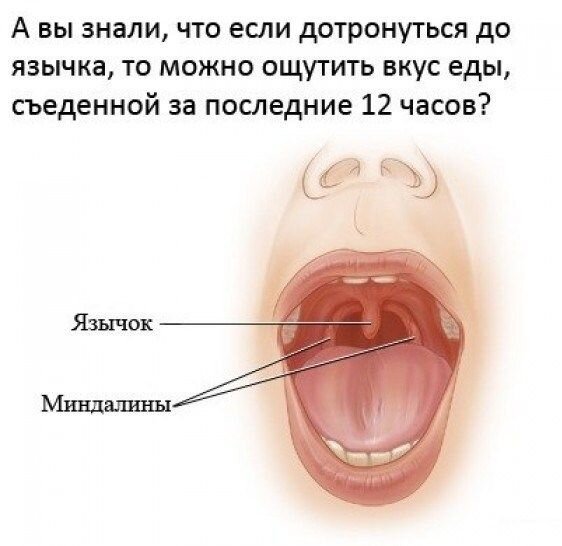 Прекрасные фото