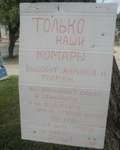 Фотоприкол недели