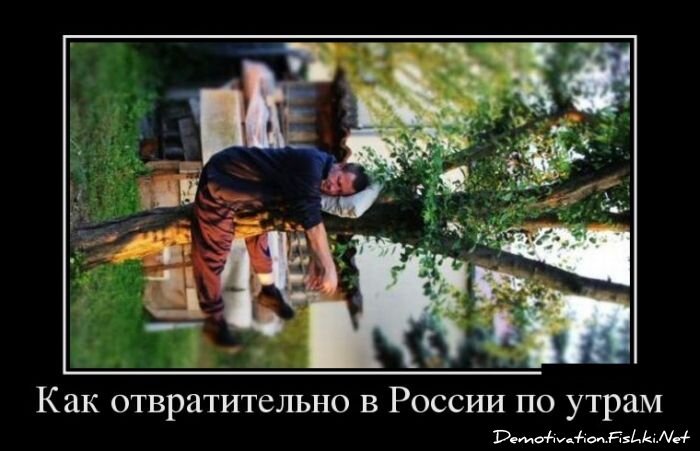 Смешной демотиватор от zubrilov за 23.07.2012 №121649