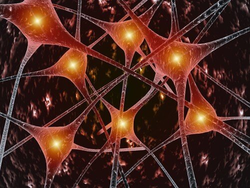 Special Post: NEURONS!!! Brain Function And Science! 