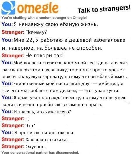 Прикольные фото