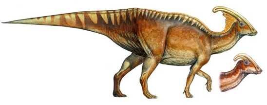 Ten Dinosaurs that never existed!