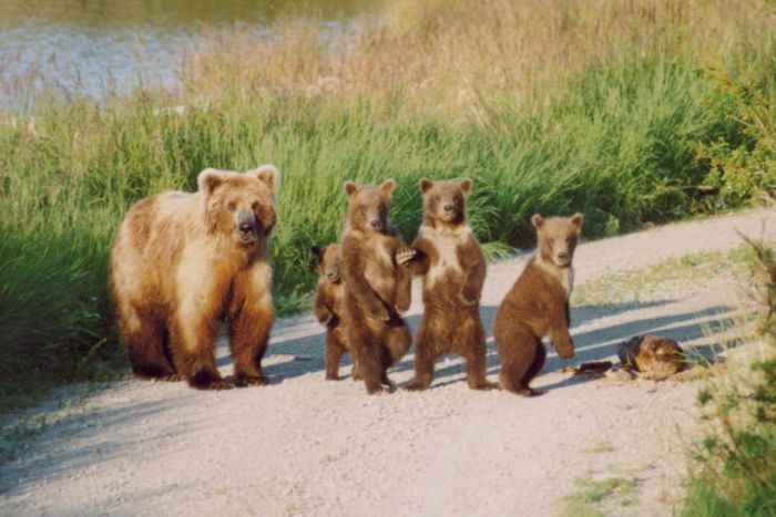 Бесплатный фотоприкол