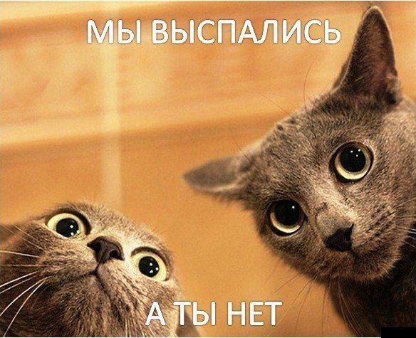 Шикарное фото