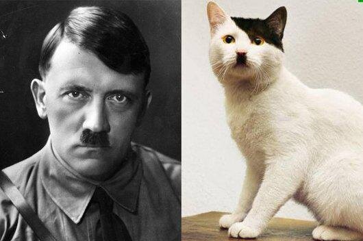Hitler, Lenin, and Other Bad Kitties