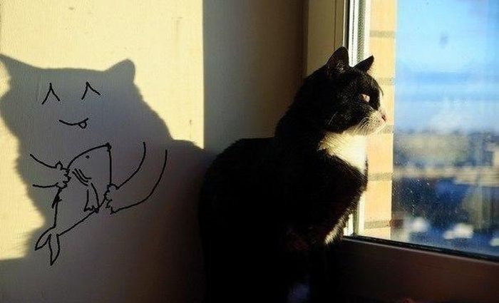 Фотоприкол онлайн