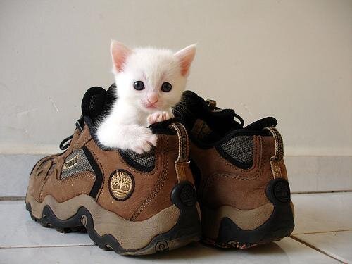 Puss in Boots