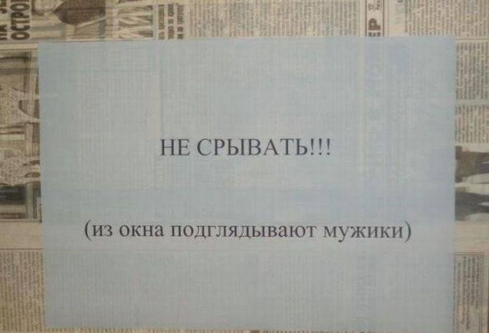 Прикол картинка