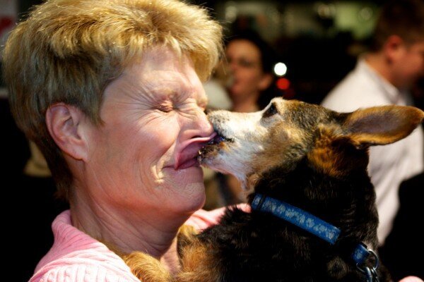 Dog Kissing Contest Held in Maine 