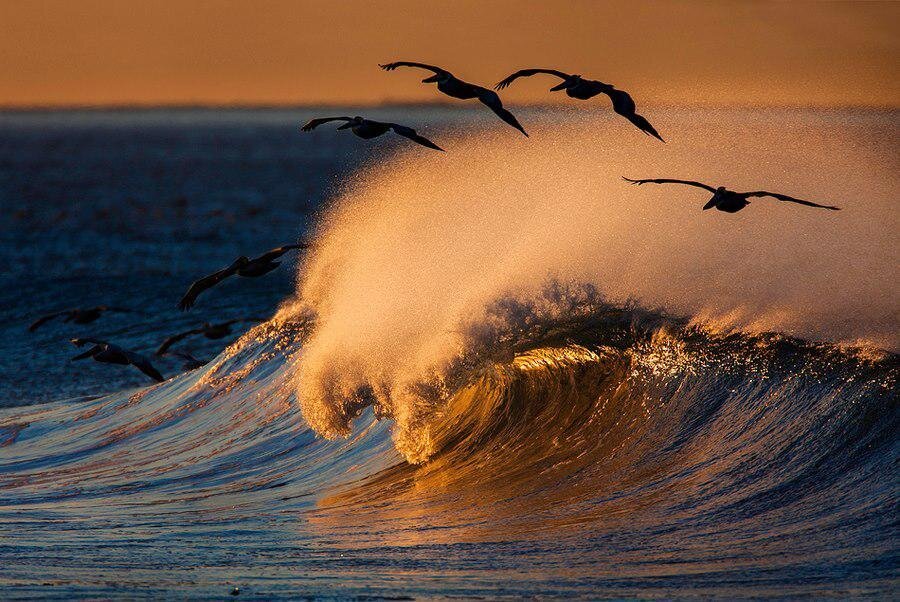 Santa Barbara California Beautiful Waves By David Orias 