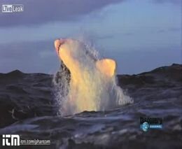 Подборка роликов