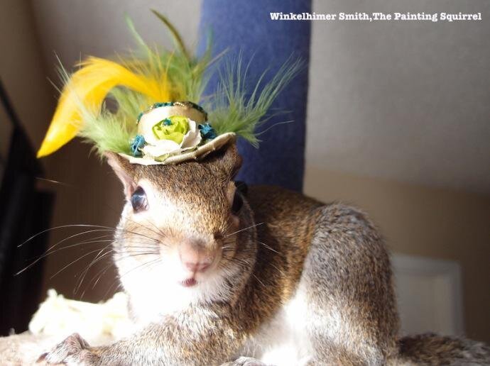 Winkelhimer Smith, A Squirrel Who Can Paint 