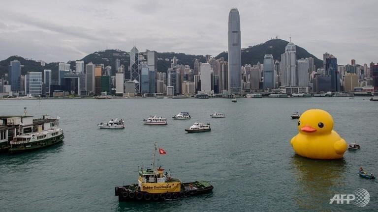 The Journey Continues, Giant "Rubber Duck" Floats to Hong Kong