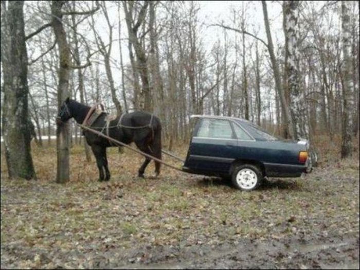Фотоподборка